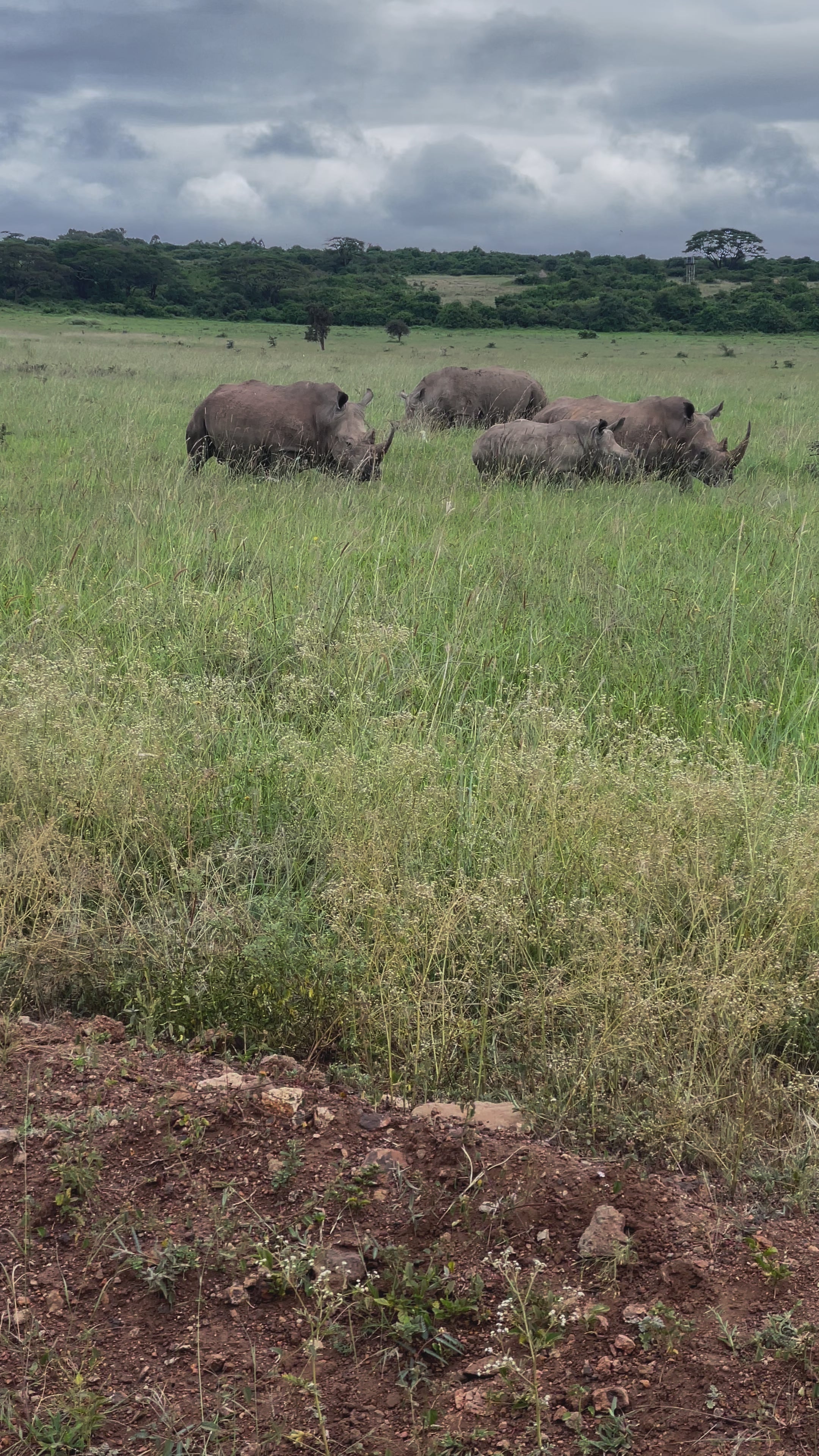 Maasai Mara Magic & Cultural Heritage - 7 Days